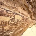 Petroglyph National Monument