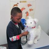 Curious Kids' Museum