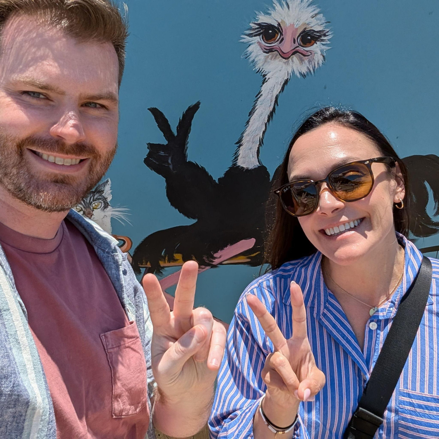 At Ostrichland USA in Solvang CA