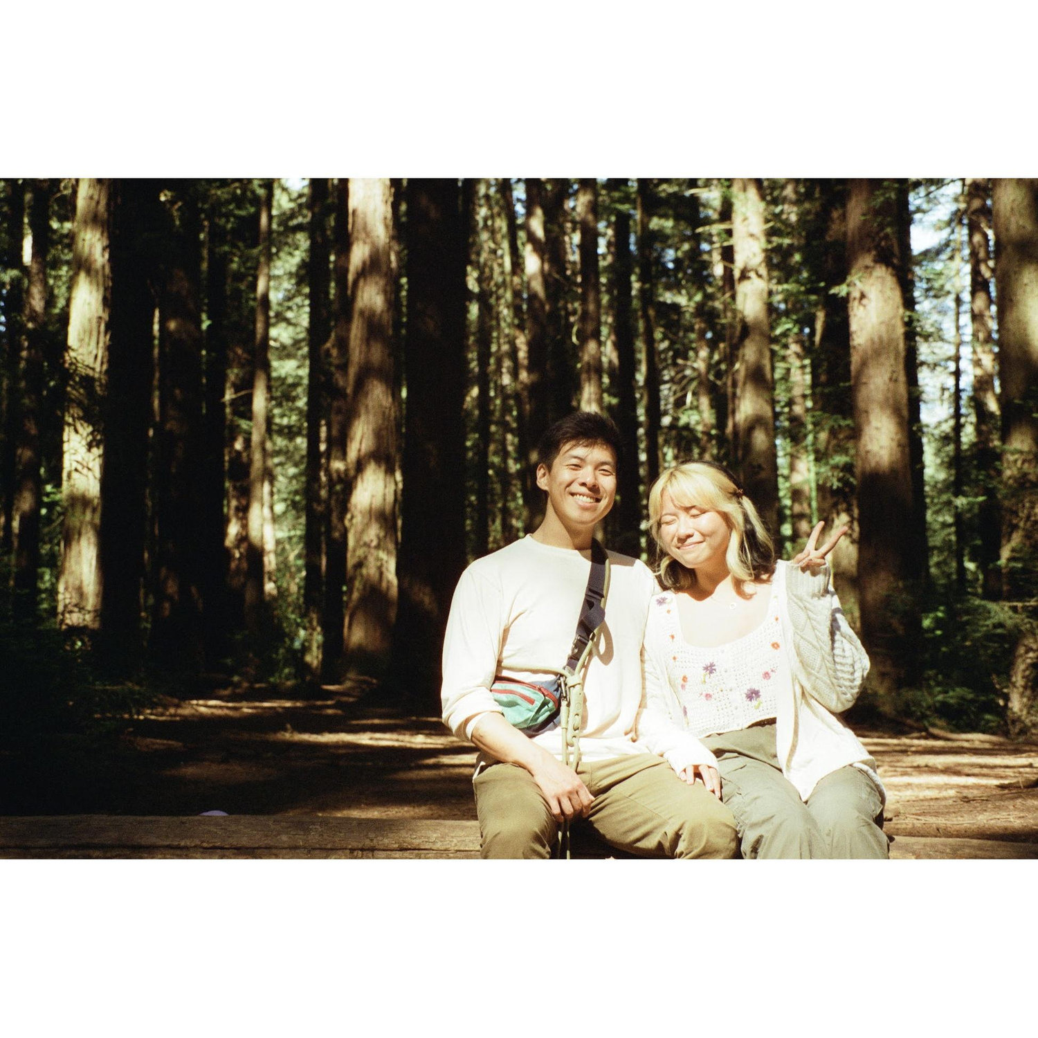 These redwoods in Oakland hold a special place in our hearts!