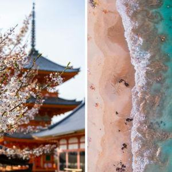 Our Japan & Hawaii Honeymoon Fund