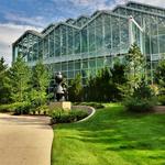 Frederik Meijer Gardens & Sculpture Park