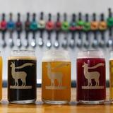 Fly Llama Brewing