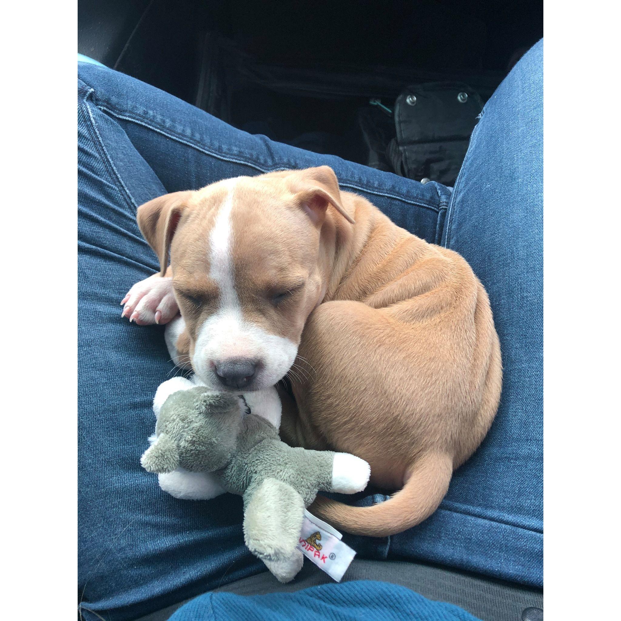 First day with LunaSancha!