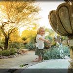 Tucson Botanical Gardens
