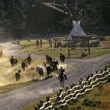 320 Guest Ranch Activities
