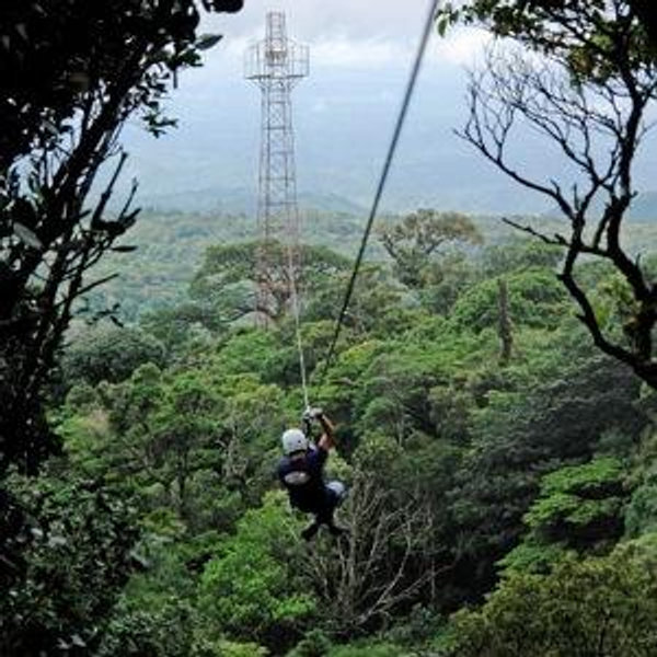 Ziplining on Honeymoon