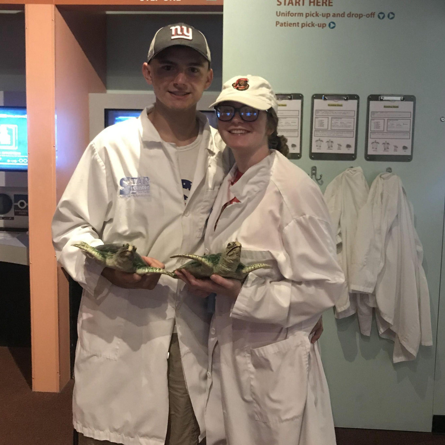 Professional sea turtle rescuers