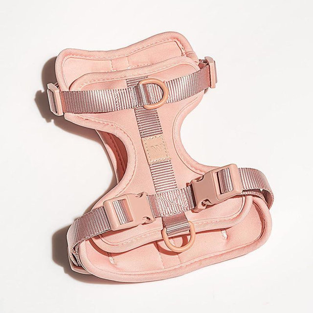 Wild One Harness 2.0 - Large - Pink