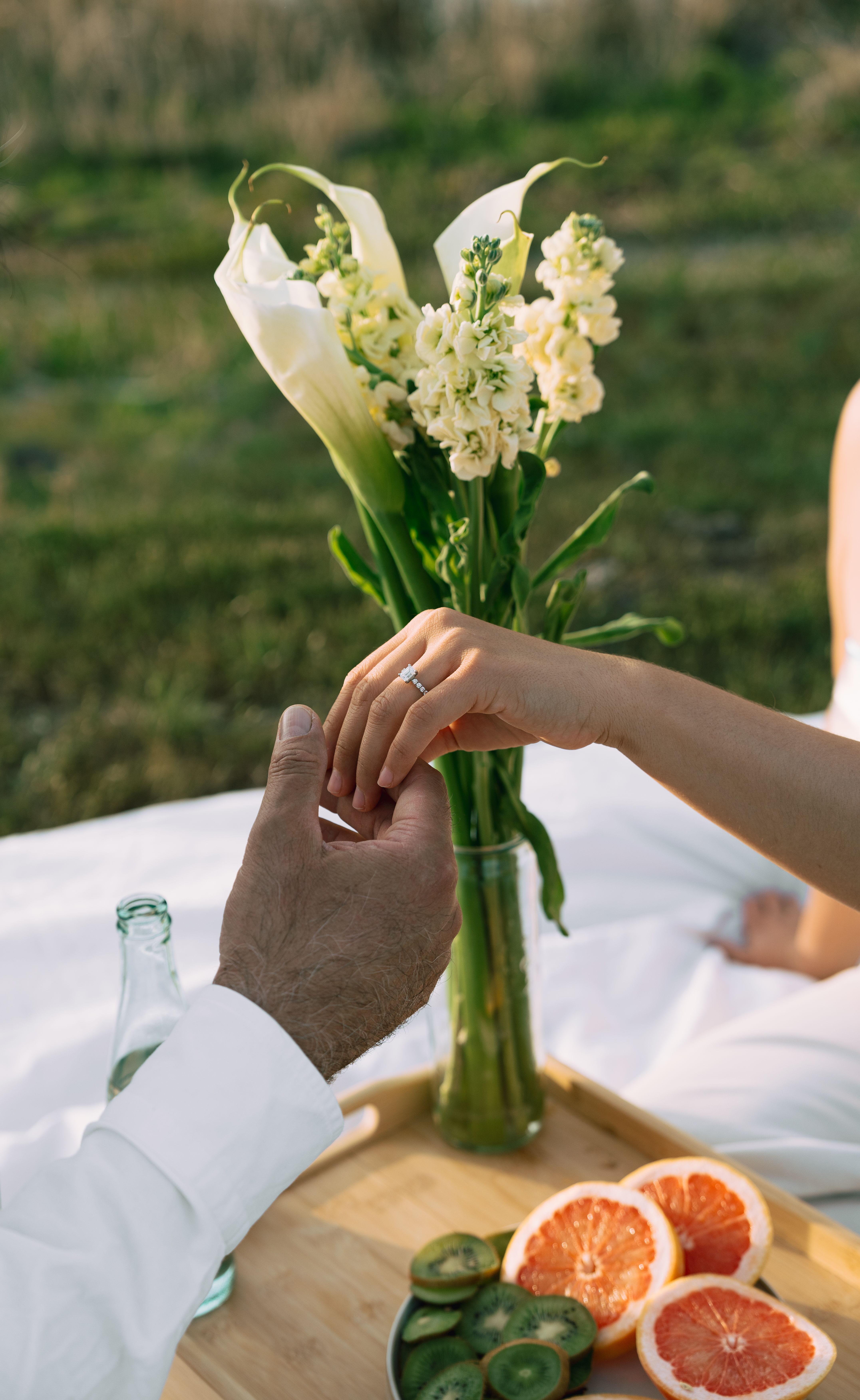 The Wedding Website of Alejandra Hernandez and Francisco Rodríguez