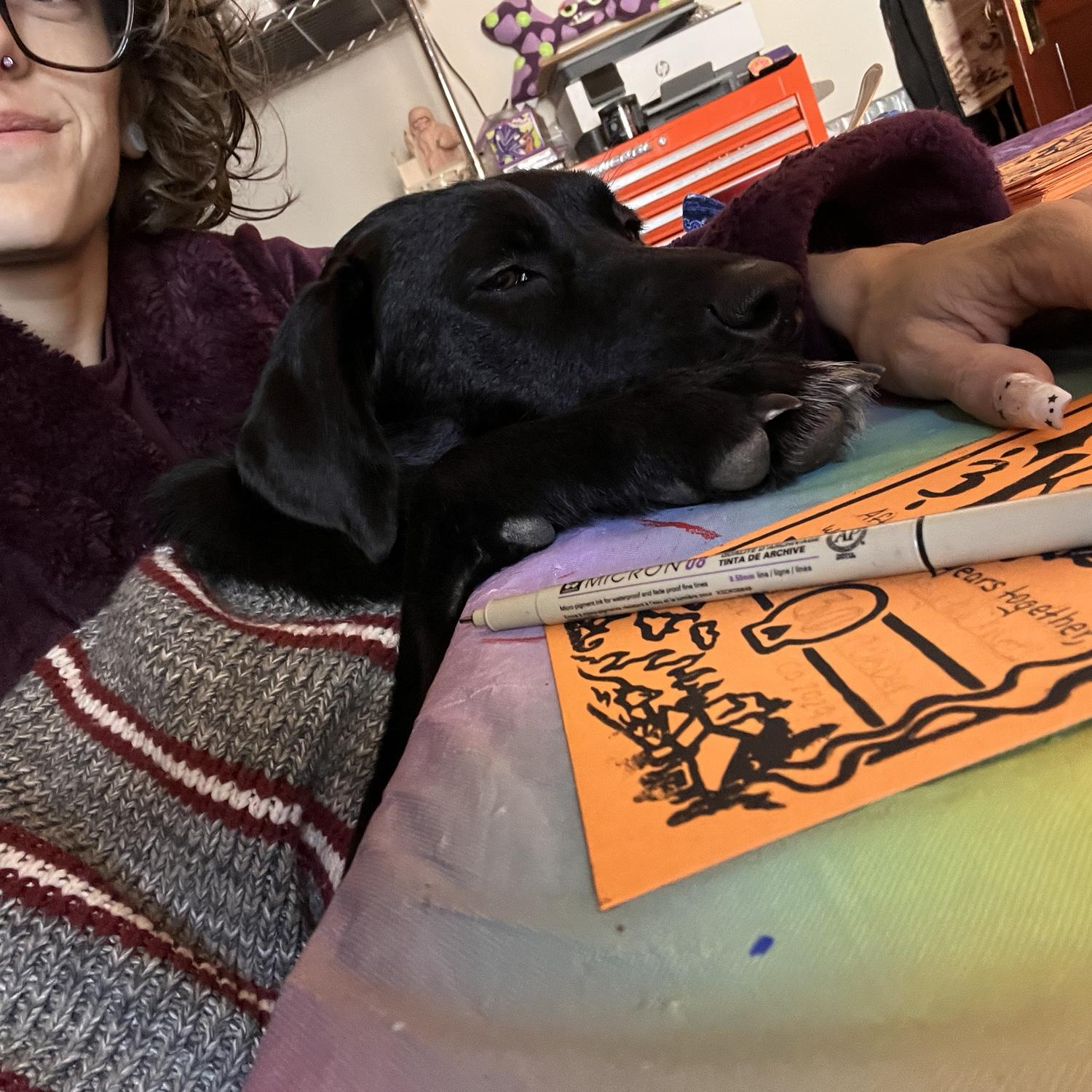 Lap labby while working on the elopement announcements!