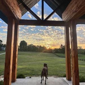 Our Home Renovation Fund