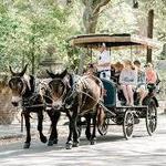 Historic Horse Drawn Carriage Tour