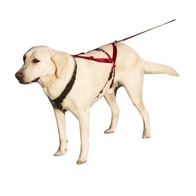 Ultra Paws One Harness for Dogs