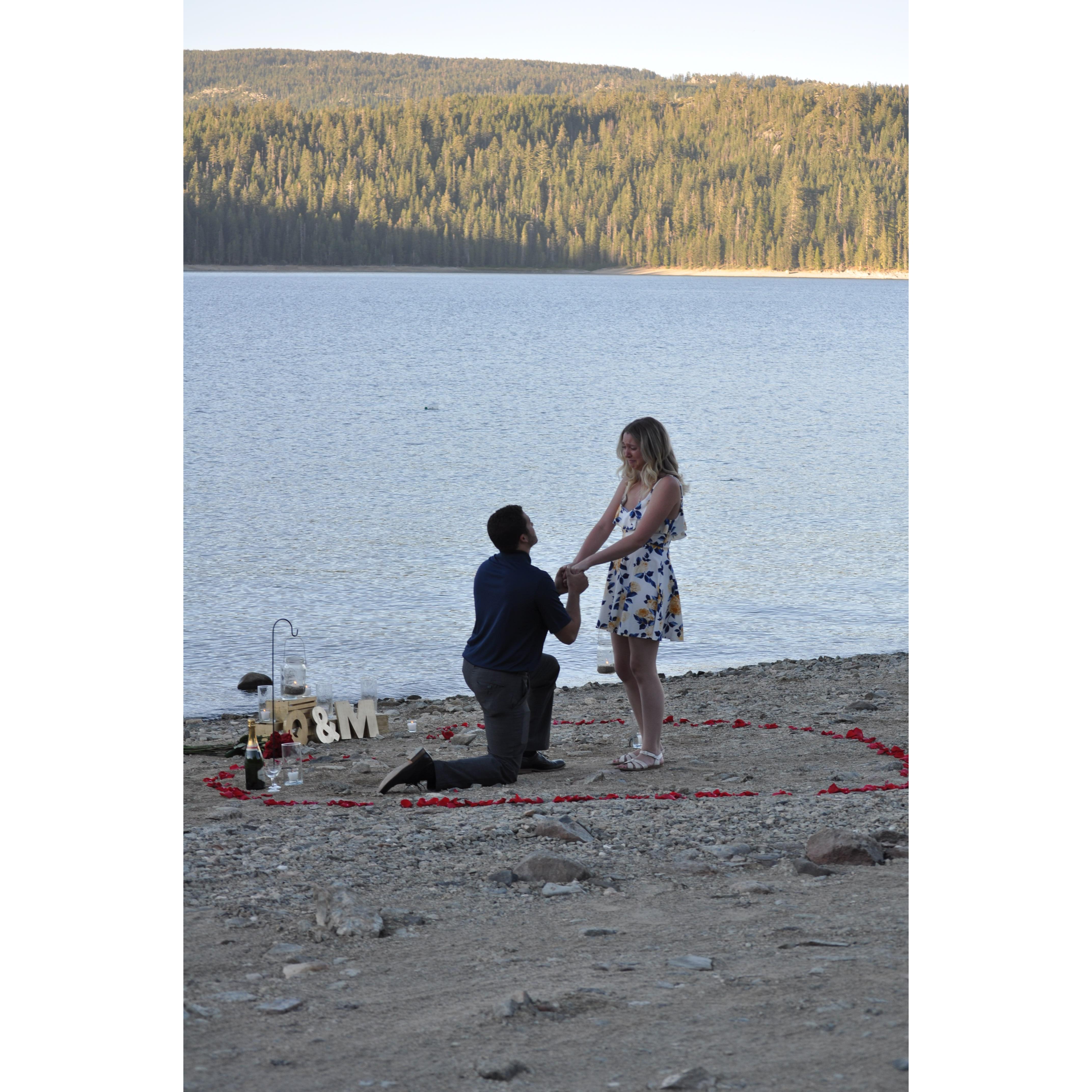 The Big Proposal!