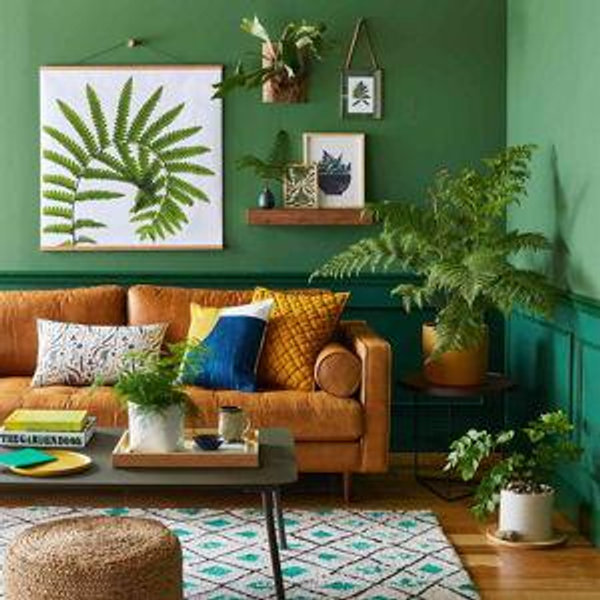 (Preferred Venmo) Cozy Living Room