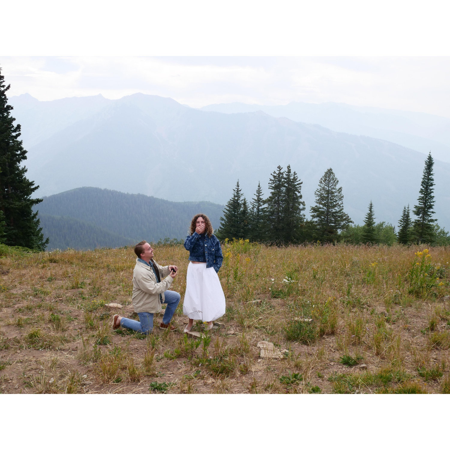 The proposal!