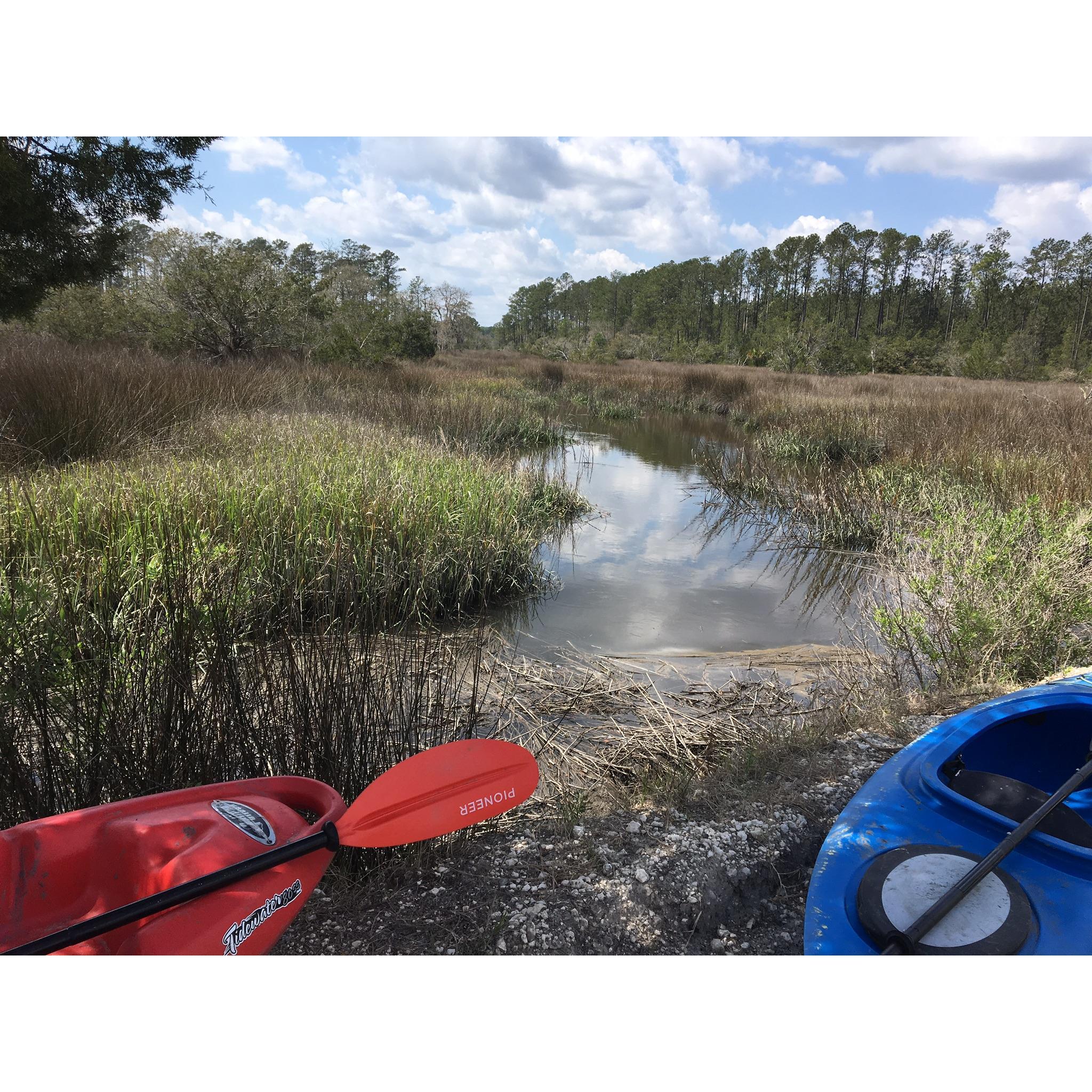 Marsh behind the house
