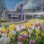 Phipps Conservatory and Botanical Gardens