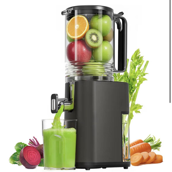 Cold Press Masticating Juicer