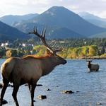Estes Park