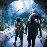 ABQ BioPark Aquarium and Botanical Garden
