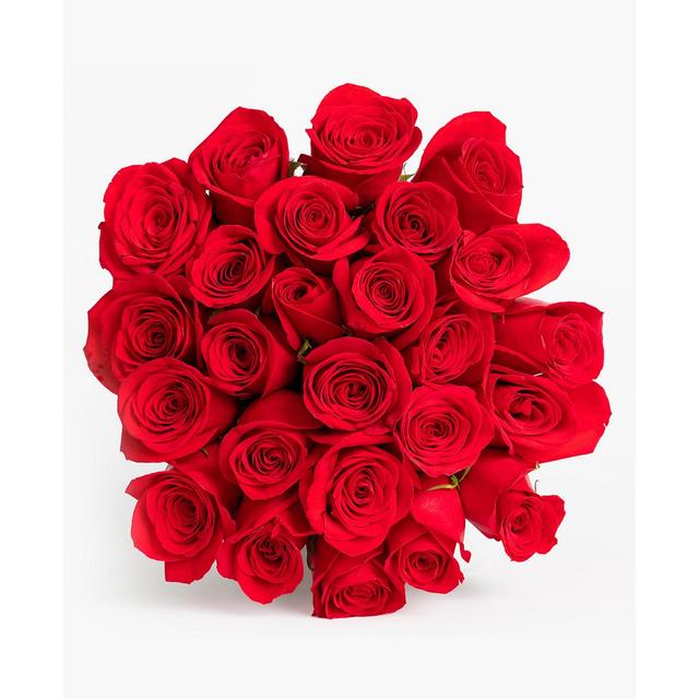 BloomsyBox Splendid Red Roses Fresh Flower Bouquet