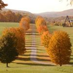 Storm King Art Center