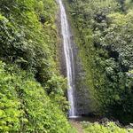 Mānoa Falls Trail