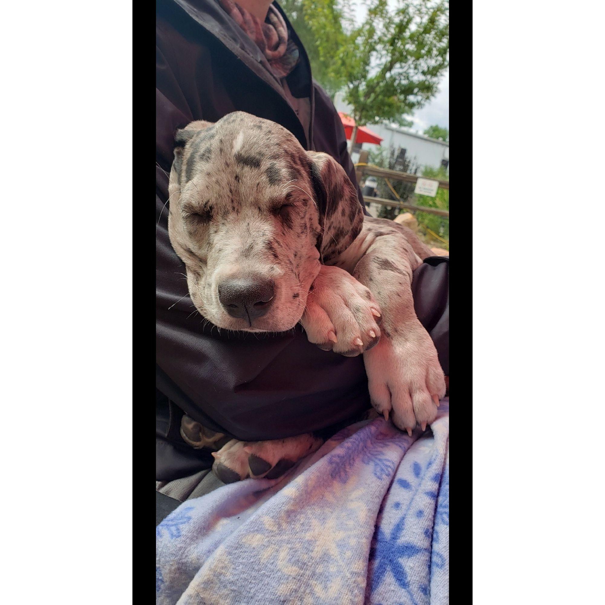 Gilligan's first outing (a brewery, of course)