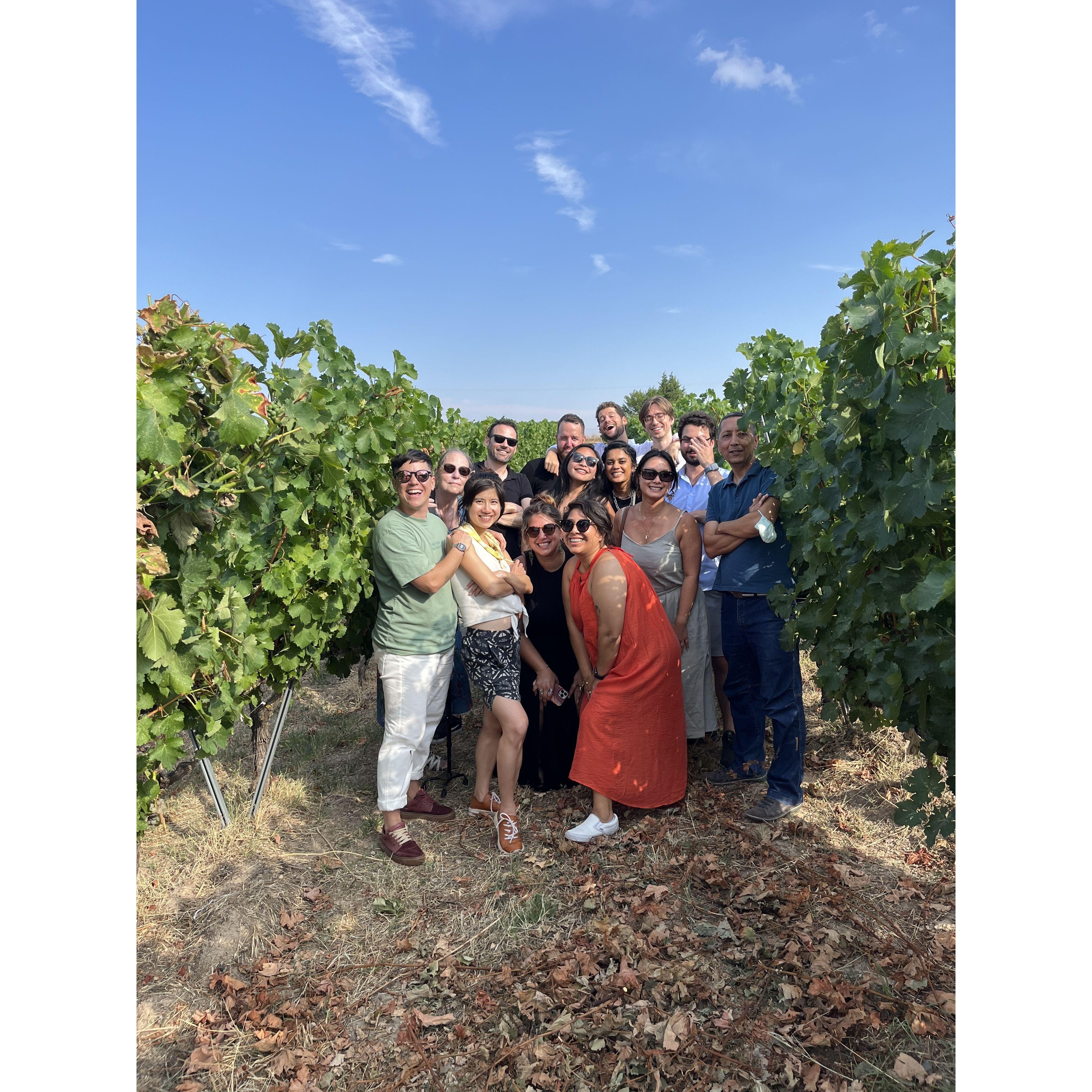 Saturday Wine Day in Turkiye