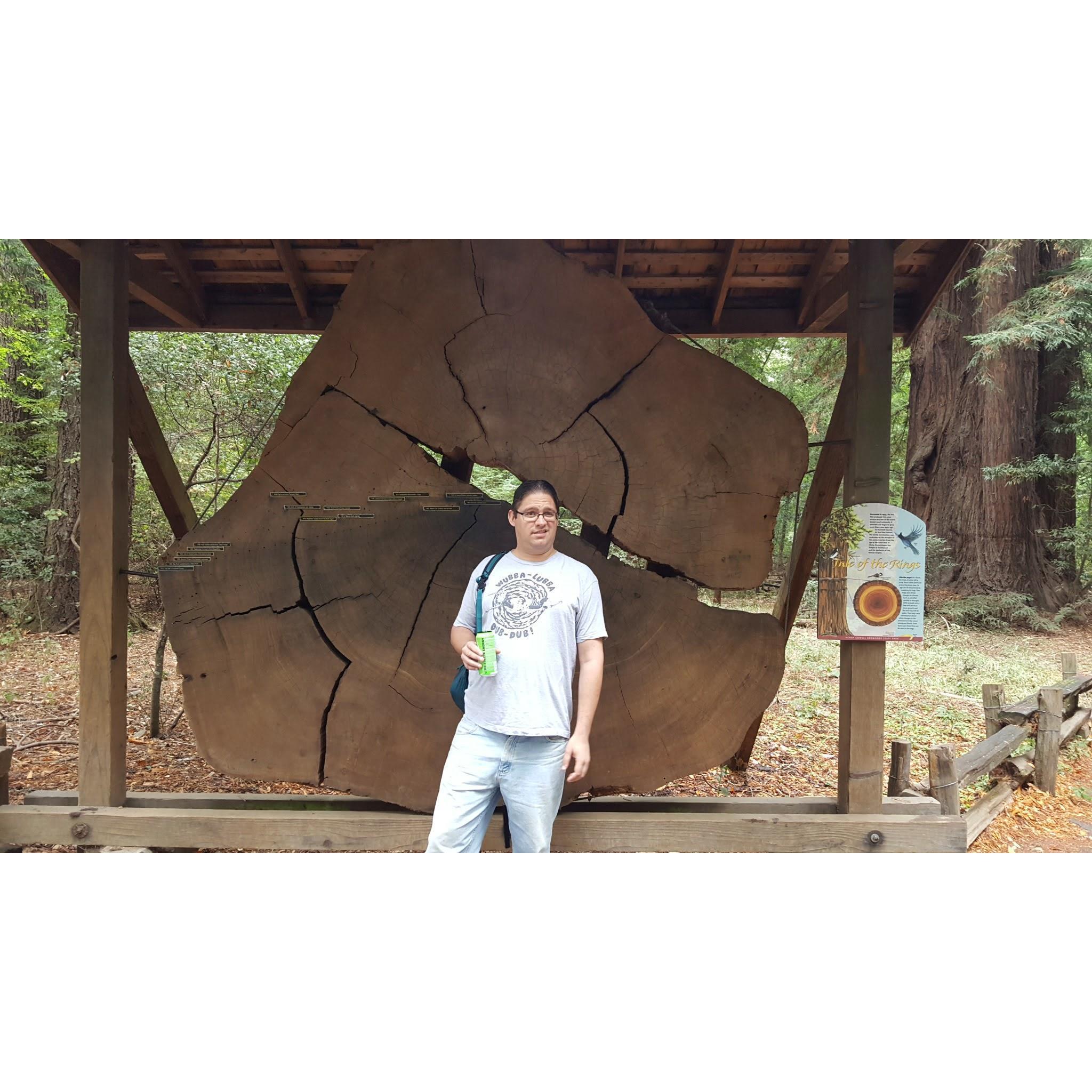 Henry Cowell State park.