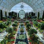 Como Park Zoo & Conservatory