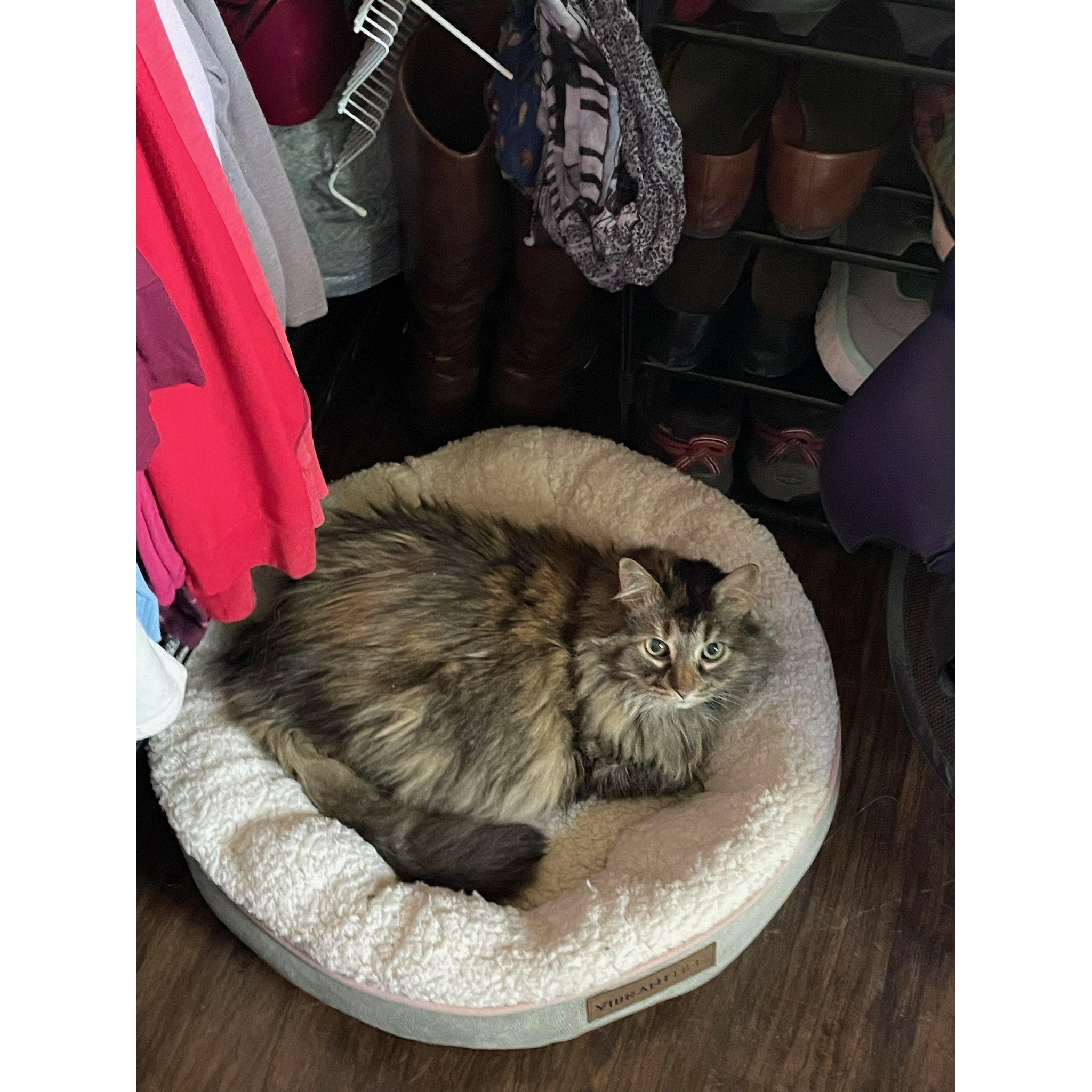 Gizmo, the Princess, aka Gizzie Moto Dragon (her college alias)