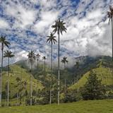 Valle del Cocora