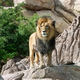 Denver Zoo