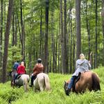 Summit Trail Rides