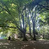 Discovery Park