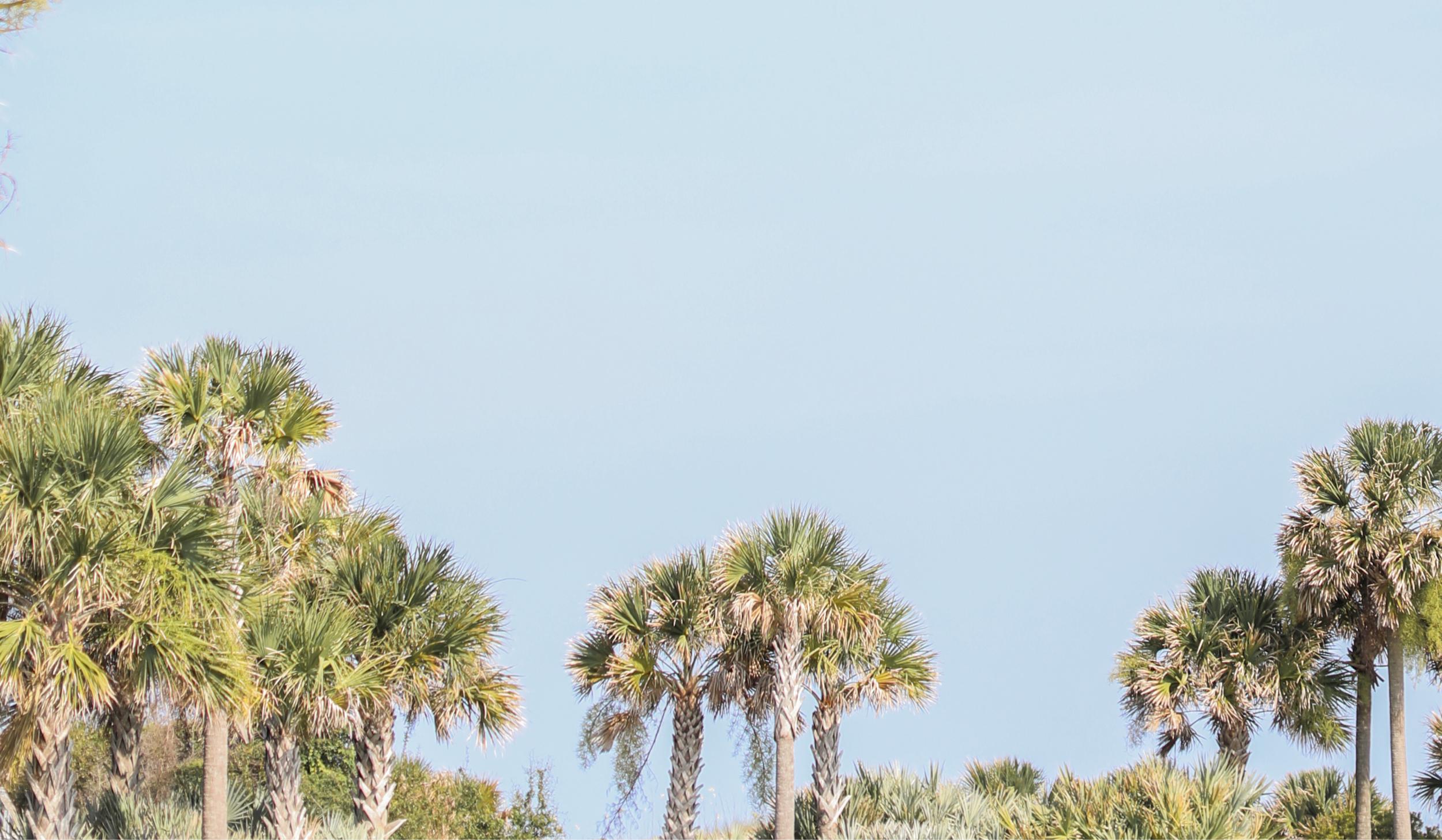 The Wedding Website of Chloe Elliott and Michael Greenhaw