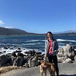 Carmel River State Beach