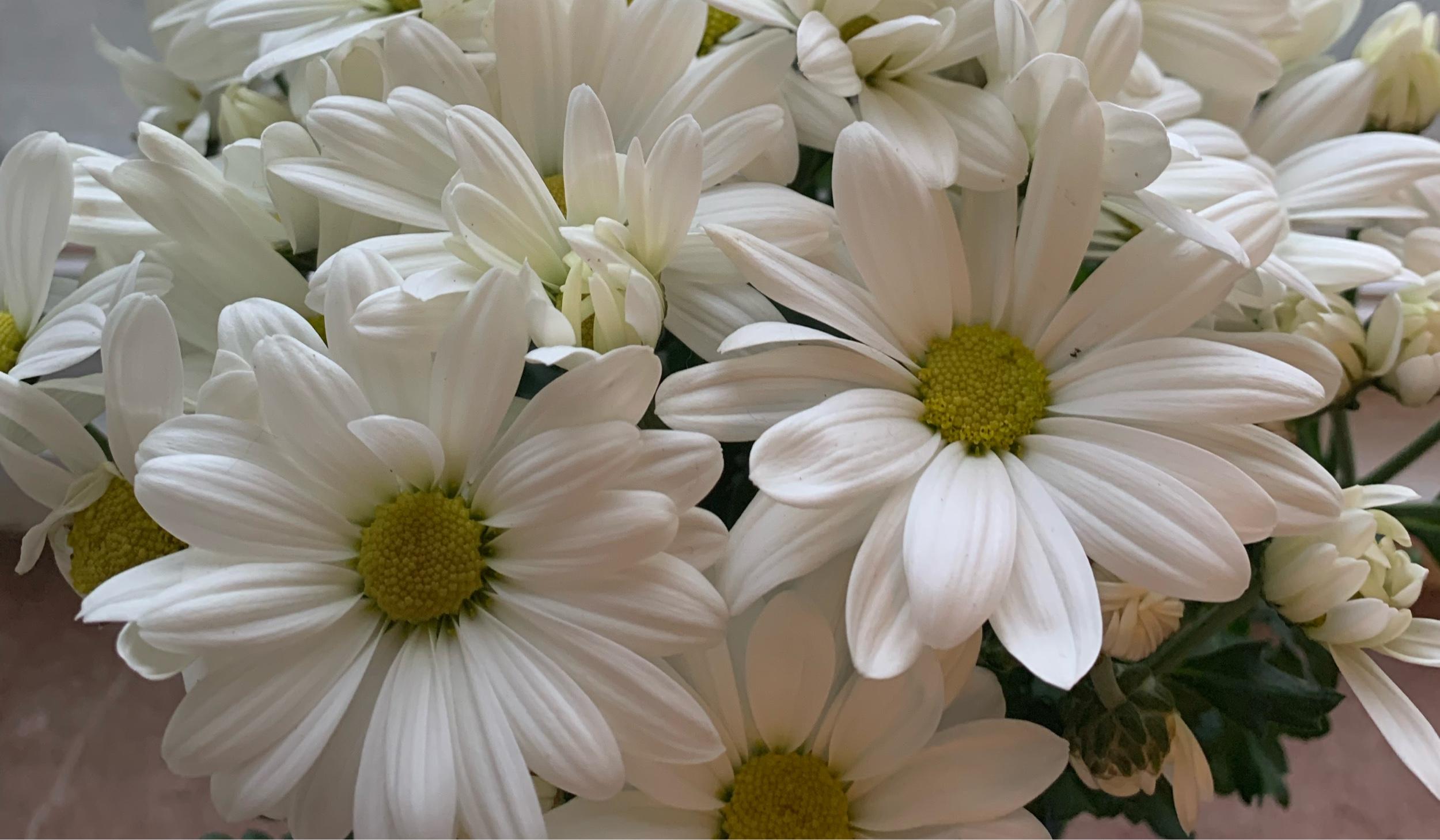 Footer image