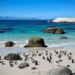 Boulders Beach