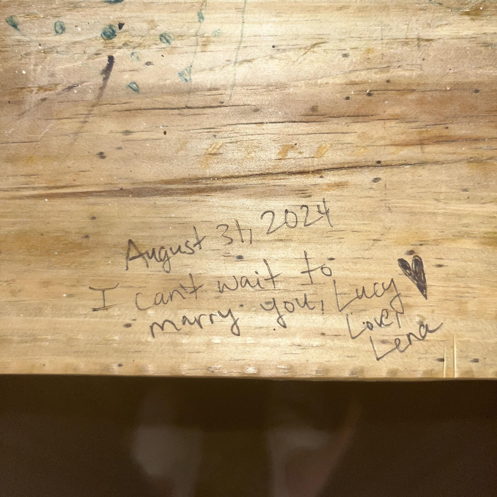 Pizza Farm in Lake Geneva in 2024. One year later, Lucy proposed to Lena here!