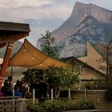 The Bison Restaurant & Terrace