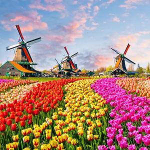 Dutch Lessons