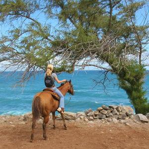 West Maui Mountain Waterfall and Ocean Tour via Horseback