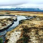 Wild Willy's Hot Spring