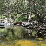 Elfin Forest Hiking Trail