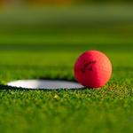 Mini Golf at the Tin Cup