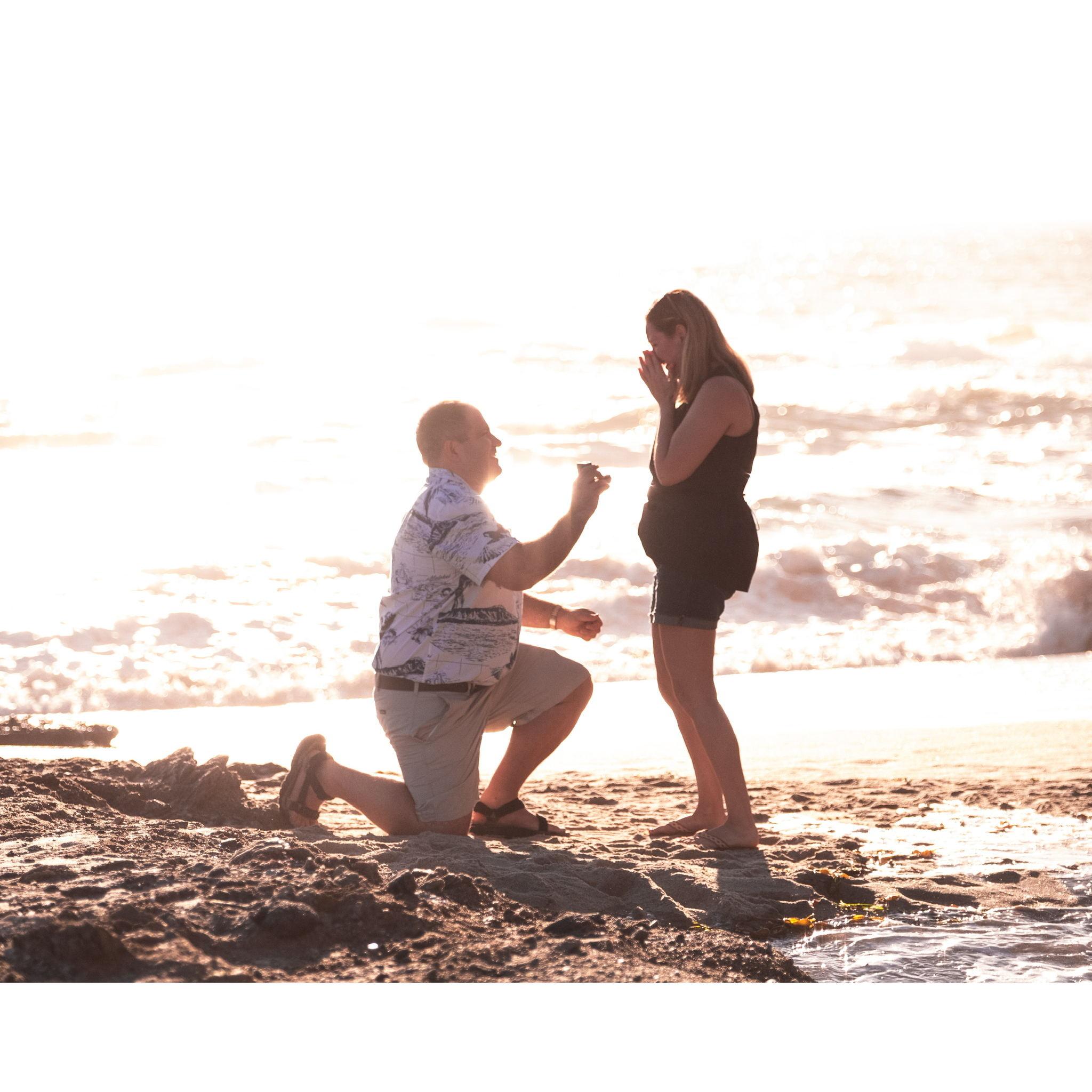 Proposal